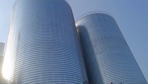 金平2座混凝土高架卷板仓